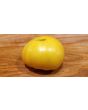 Tomato 'Pork Chop' Seeds (Certified Organic)