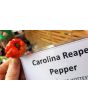 Hot Pepper ‘Carolina Reaper' 
