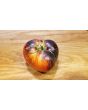 Tomato 'Dark Galaxy' 