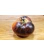 Tomato 'Dark Galaxy' 