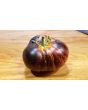 Tomato 'Dark Galaxy' 