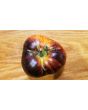 Tomato 'Dark Galaxy' 