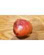 Tomato 'Dark Galaxy' 