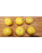 Tomato 'Garden Peach'