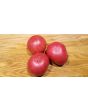 Tomato 'Red Rose' Seeds (Certified Organic) 