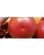 Tomato 'Red Rose' Seeds (Certified Organic) 