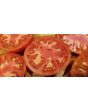 Tomato 'Red Rose' Seeds (Certified Organic) 