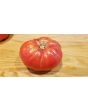 Tomato 'Seek-No-Further Love Apple'