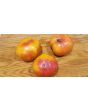 Tomato 'Big Rainbow' Seeds (Certified Organic)