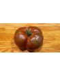 Tomato 'Girl Girl's Weird Thing' 