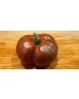 Tomato 'Girl Girl's Weird Thing' 