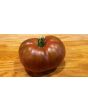 Tomato 'Girl Girl's Weird Thing' 