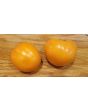 Tomato 'Valencia'