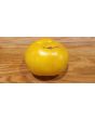 Tomato 'Manyel' Seeds (Certified Organic)