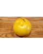 Tomato 'Manyel' Seeds (Certified Organic)
