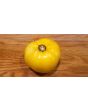 Tomato 'Manyel' Seeds (Certified Organic)