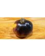 Tomato 'Wooly Kate'
