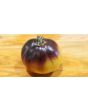 Tomato 'Wooly Kate'