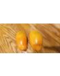Tomato 'Orange Icicle' 