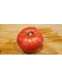 Tomato 'Palo Alto'