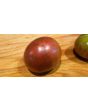 Tomato 'Southern Night'