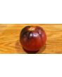 Tomato 'Thunder Mountain' 