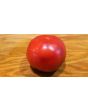 Tomato 'Thunder Mountain' 