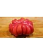 Tomato 'Pink Accordion'