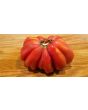 Tomato 'Pink Accordion'