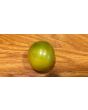 Tomato 'Green Grape' Seeds (Certified Organic)