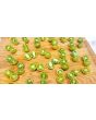 Tomato 'Green Grape' Seeds (Certified Organic)