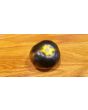 Tomato 'Wagner Blue Green' 