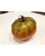 Tomato 'Joffre'