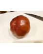 Tomato 'Joffre'