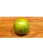 Tomato 'Green Zebra'