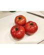 Tomato 'Arkansas Traveler' 
