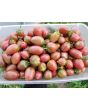 Tomato 'Chocolate Molar Cherry' 