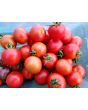 Tomato 'Amy's Sugar Gem' 
