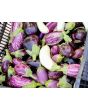Eggplant ‘Mumbai’