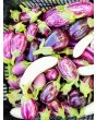 Eggplant ‘Mumbai’