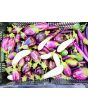 Eggplant ‘Casper’ Seeds (Certified Organic)