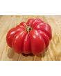 Tomato 'Red Mushroom Basket'