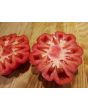Tomato 'Red Mushroom Basket'