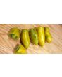 Tomato 'Green Sausage' Seeds (Certified Organic)