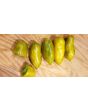 Tomato 'Green Sausage' Seeds (Certified Organic)