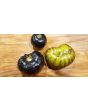 Tomato 'Xanadu Green Goddess'