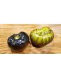Tomato 'Xanadu Green Goddess'