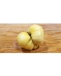 Tomato 'White Queen'
