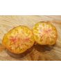 Tomato 'Thunder Mountain' 