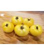 Tomato 'White Bush' 
